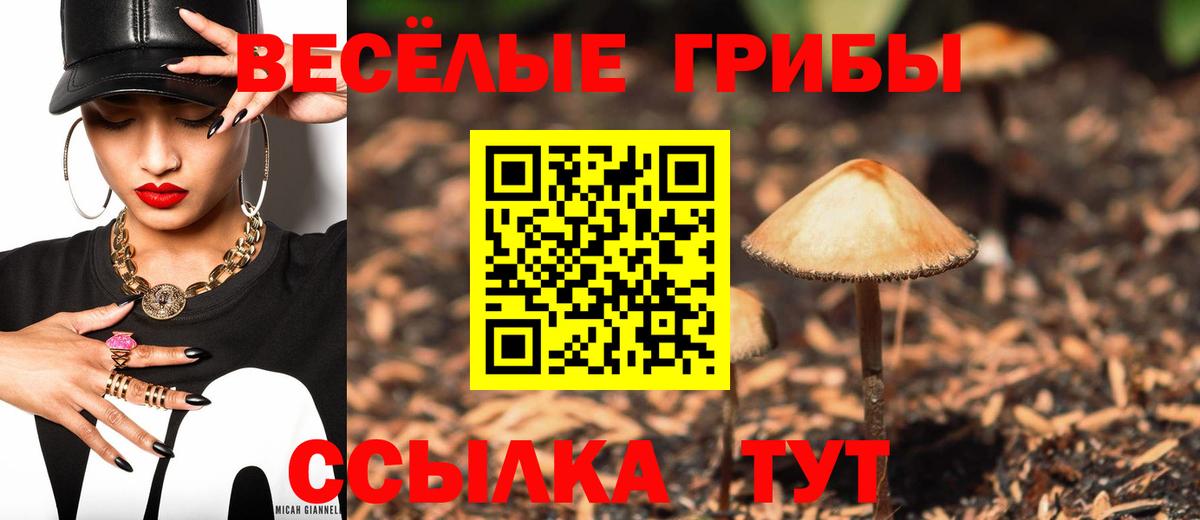 Кумертау  наркотики  Вход с VPN  Галлюциногенные грибы прущие грибы 