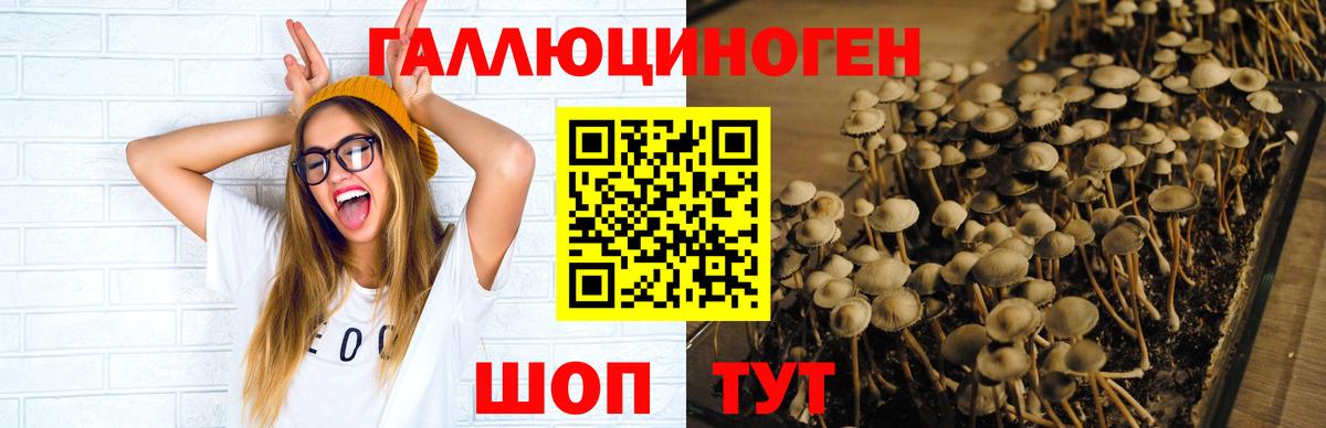 Псилоцибиновые грибы мухоморы Кумертау